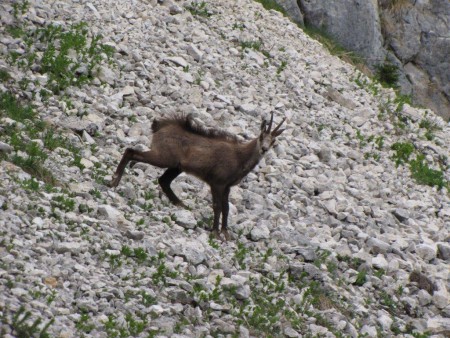 Triglav - maj 2012